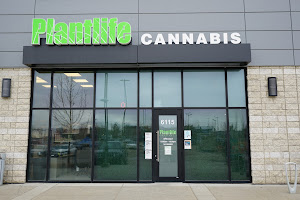 Plantlife Cannabis Edmonton Windermere Currents