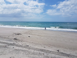 Poutuia Beach'in fotoğrafı imkanlar alanı