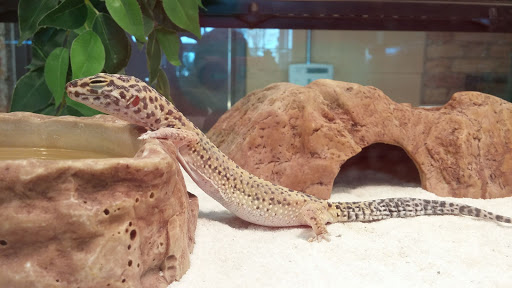 Pet Store «Animart Pet Store», reviews and photos, 1600 N Spring St, Beaver Dam, WI 53916, USA