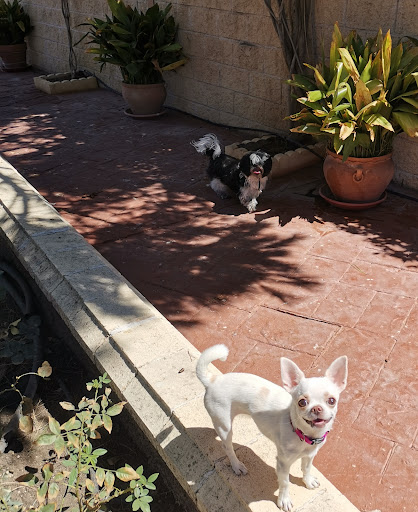 Clínica Veterinaria Las Rozas en Las Rozas de Madrid