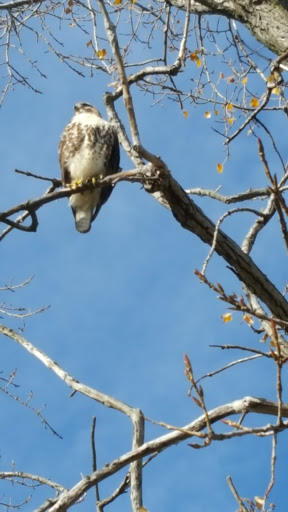 Golf Course «Brighton Park Golf Course», reviews and photos, 70 Brompton Rd, Tonawanda, NY 14150, USA