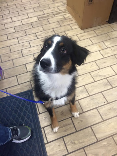 Pet Store «Pets of Portage», reviews and photos, 2219 W Wisconsin St, Portage, WI 53901, USA