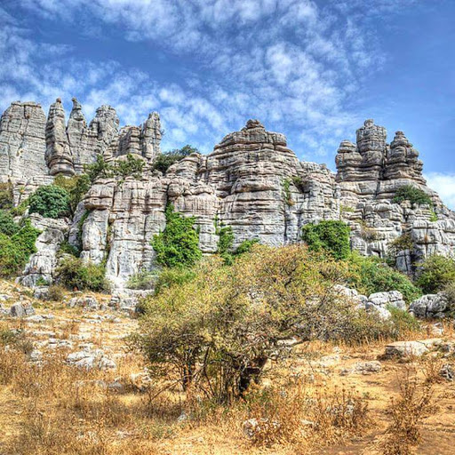 Museum «National Geographic Museum», reviews and photos, 1145 17th Street NW, Washington, DC 20036, USA