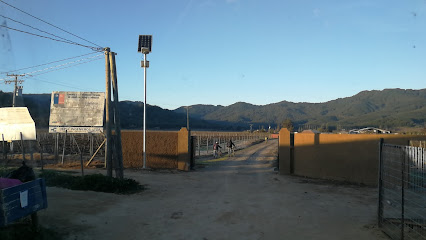 agropecuaria santa sabina