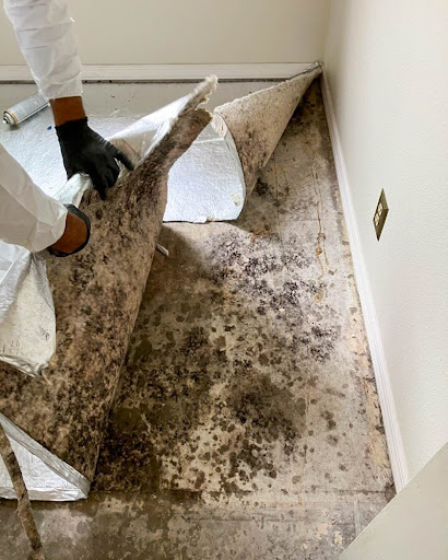 SERVPRO of Whittier image