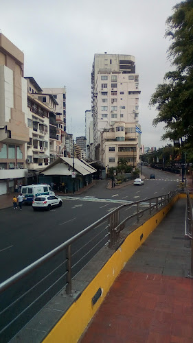 Opiniones de Citizen en Guayaquil - Tienda