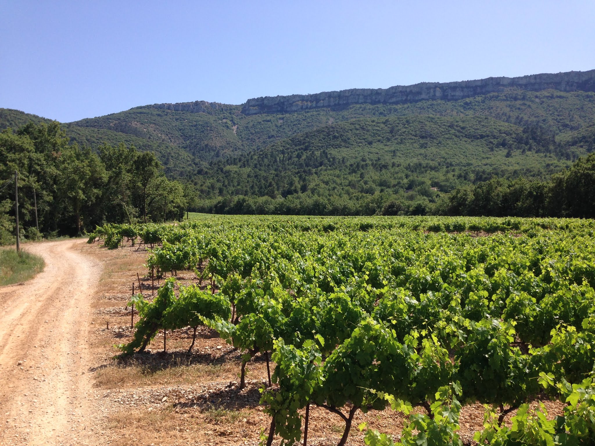 Photo n° 2 de l'avis de Aurelien.o fait le 04/04/2019 à 08:02