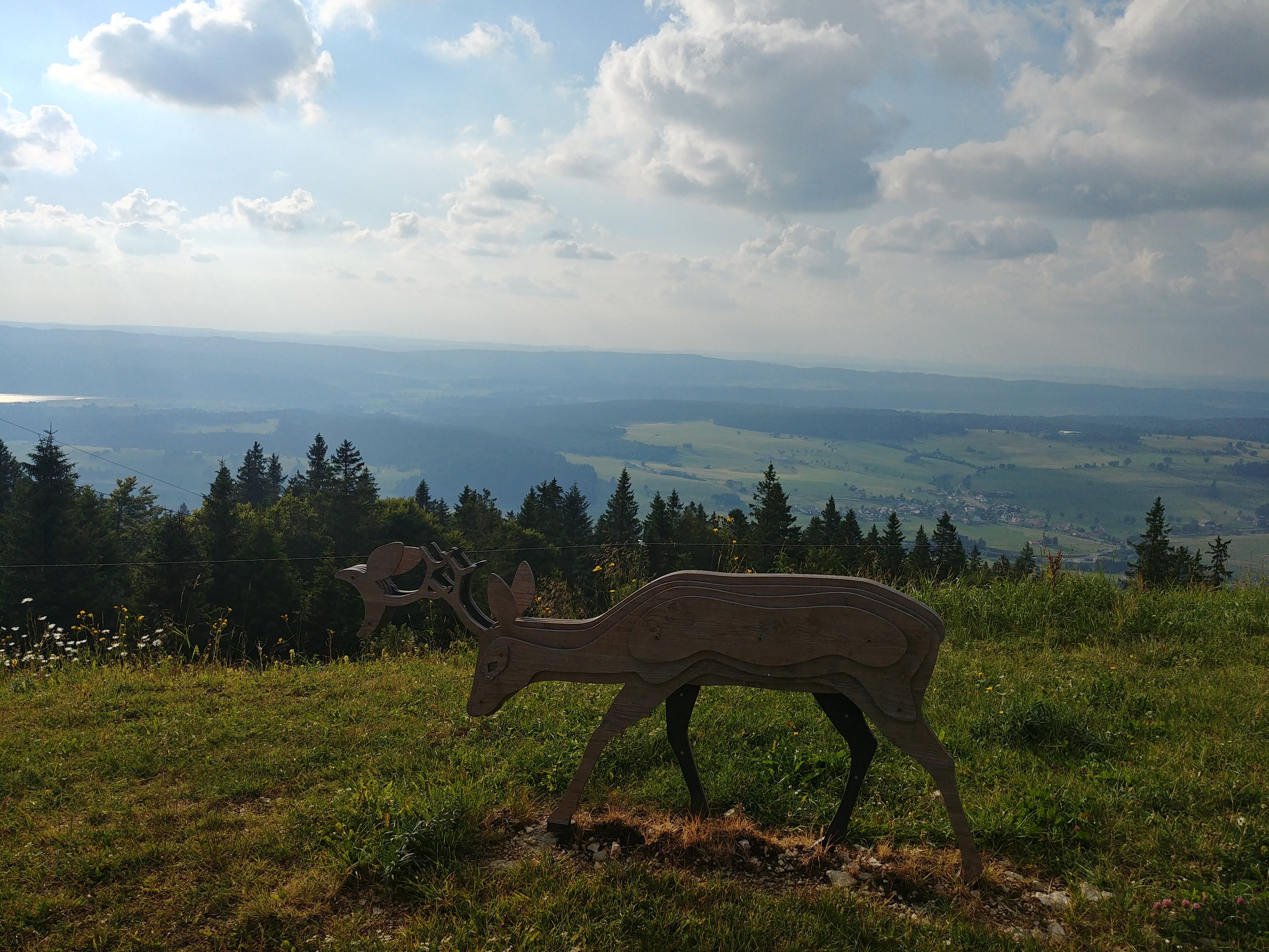 Photo n° 2 de l'avis de Aurely.e fait le 22/08/2018 à 08:54
