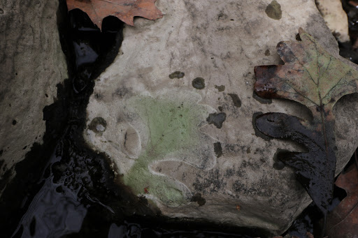 Learning Center «Sagawau Environmental Learning Center», reviews and photos, 12545 111th St, Lemont, IL 60439, USA