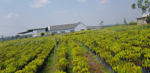 Top 20 cửa hàng online Huyện Phú Riềng Bình Phước 2022