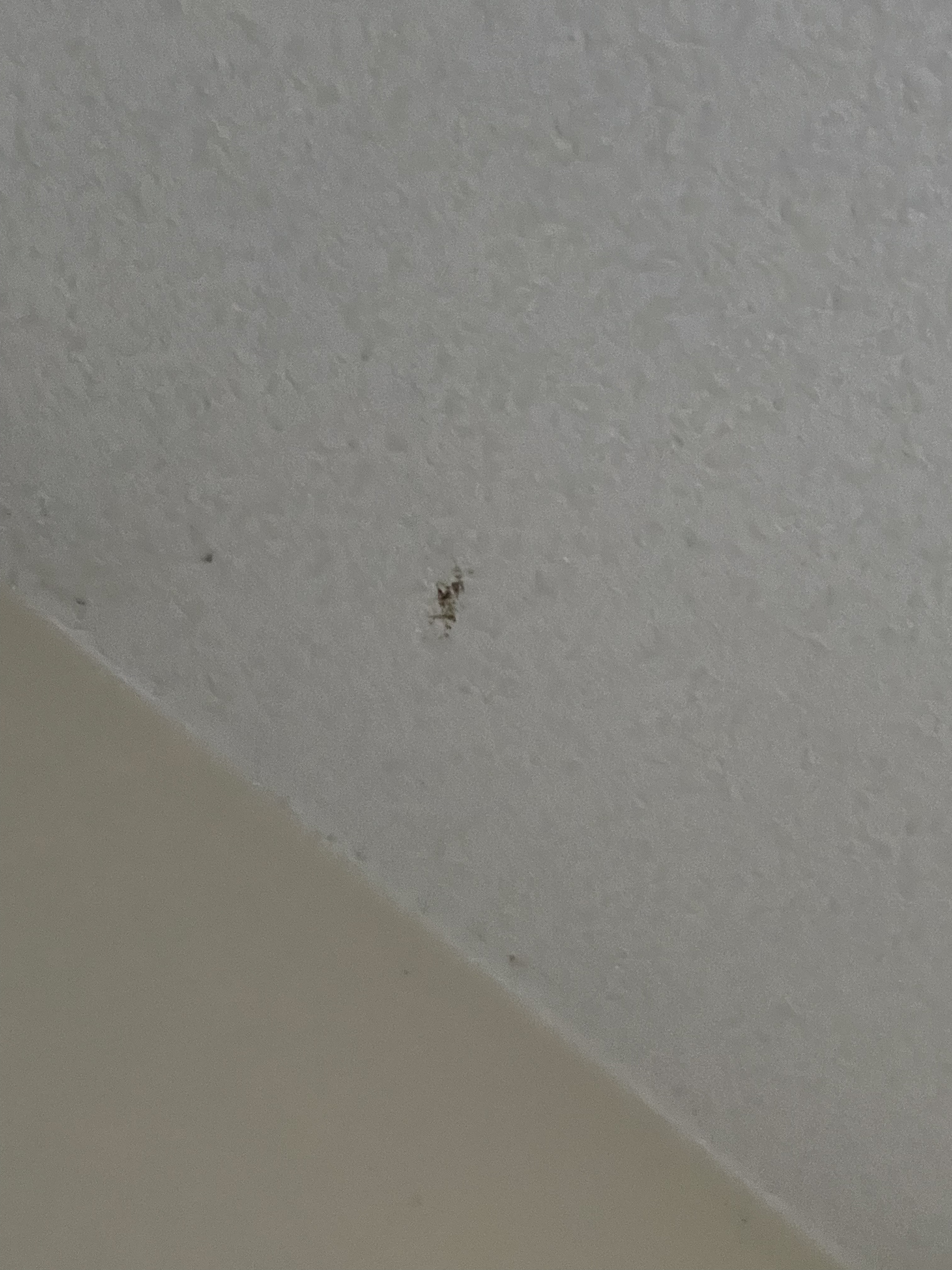 Photo n° 4 de l'avis de franck.e fait le 23/08/2018 à 14:15