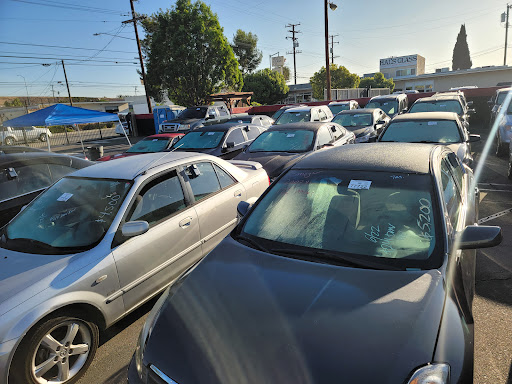 Auto Auction «BLOK Charity Auto Clearance», reviews and photos