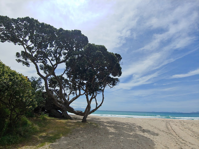 Reviews of Langs Beach in Mangawhai - Other