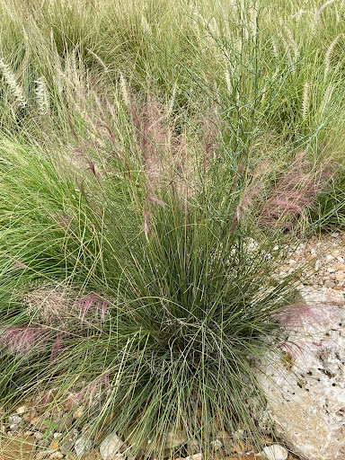 Golf Course «Glenbrook Park Golf Course», reviews and photos, 8205 N Bayou Dr, Houston, TX 77017, USA