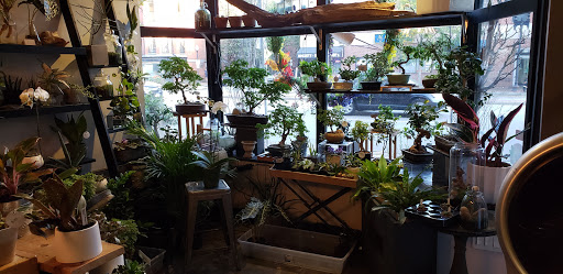 Flower Designer «Bloom Couture Floral Studio», reviews and photos, 769 Tremont St, Boston, MA 02118, USA