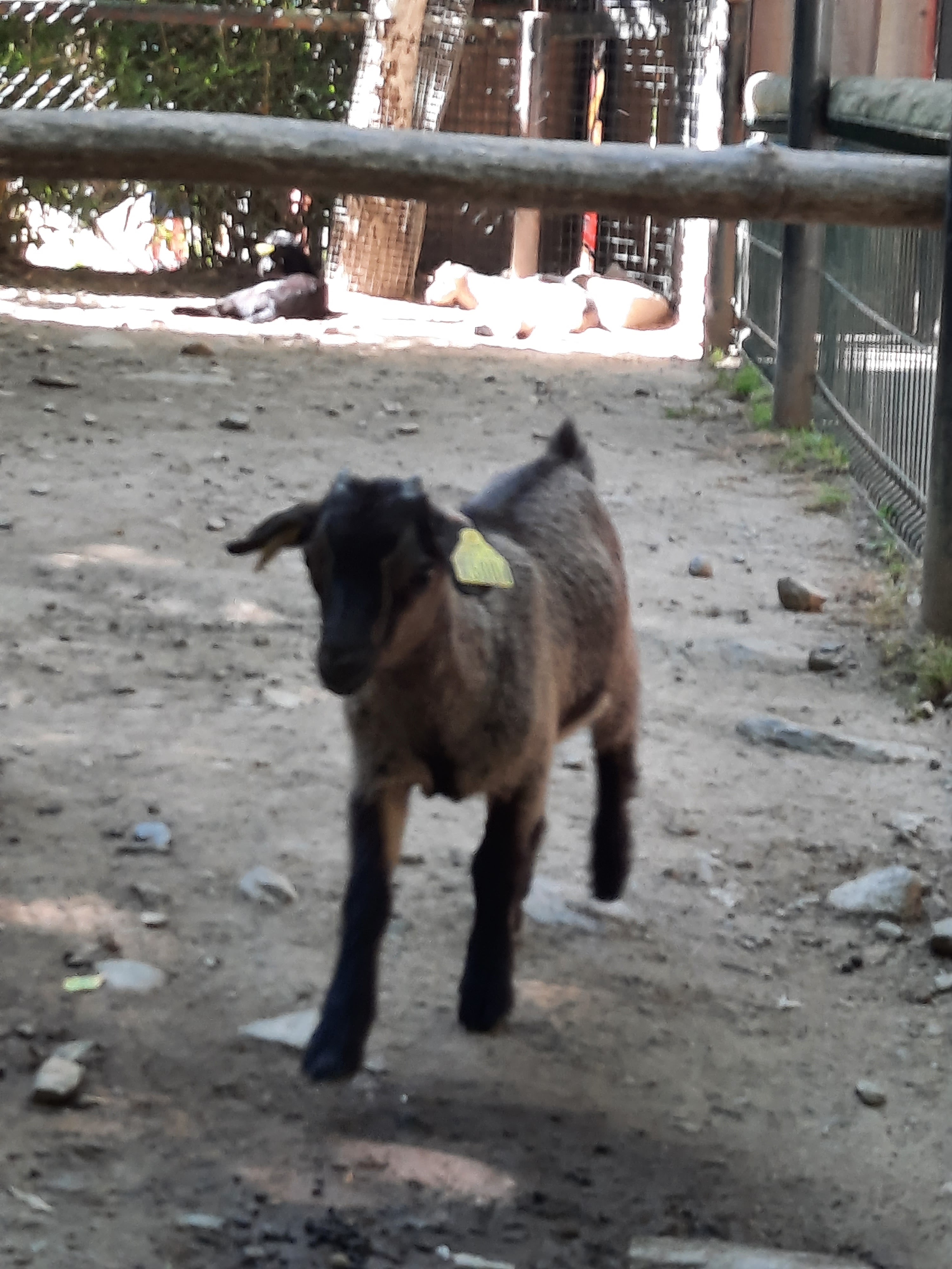 Photo n° 14 de l'avis de Gwen.i fait le 08/08/2023 à 13:19