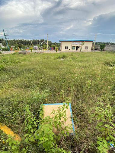 Google Maps image 13