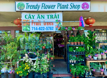 Trendy Flower Plant Shop