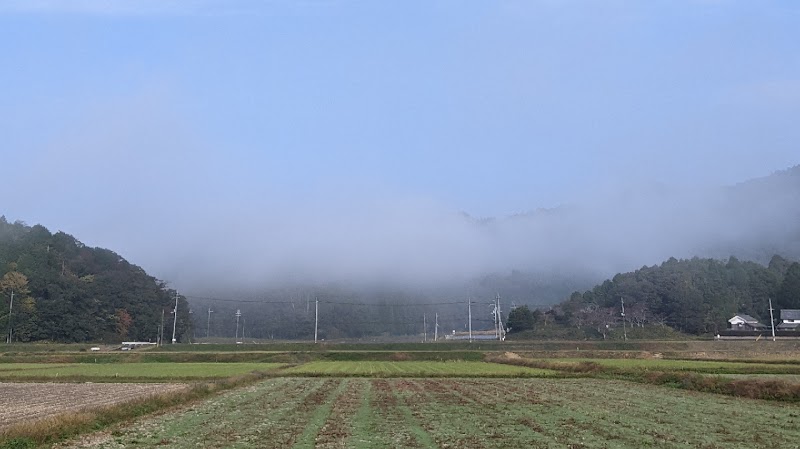 宮里農園 Miyasato Farm