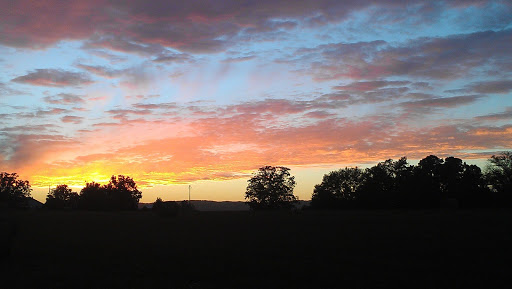 Coffee Shop «Due South Coffee Roasters», reviews and photos, 250 Mill St #4c, Taylors, SC 29687, USA