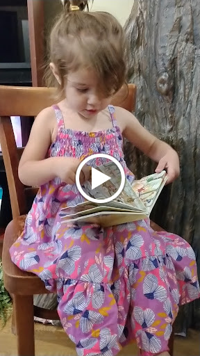 Book Store «Read Between the Lynes», reviews and photos, 111 E Van Buren St, Woodstock, IL 60098, USA