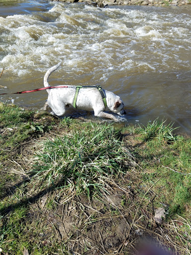 Park «Plum Creek Park», reviews and photos, Cherry St, Kent, OH 44240, USA