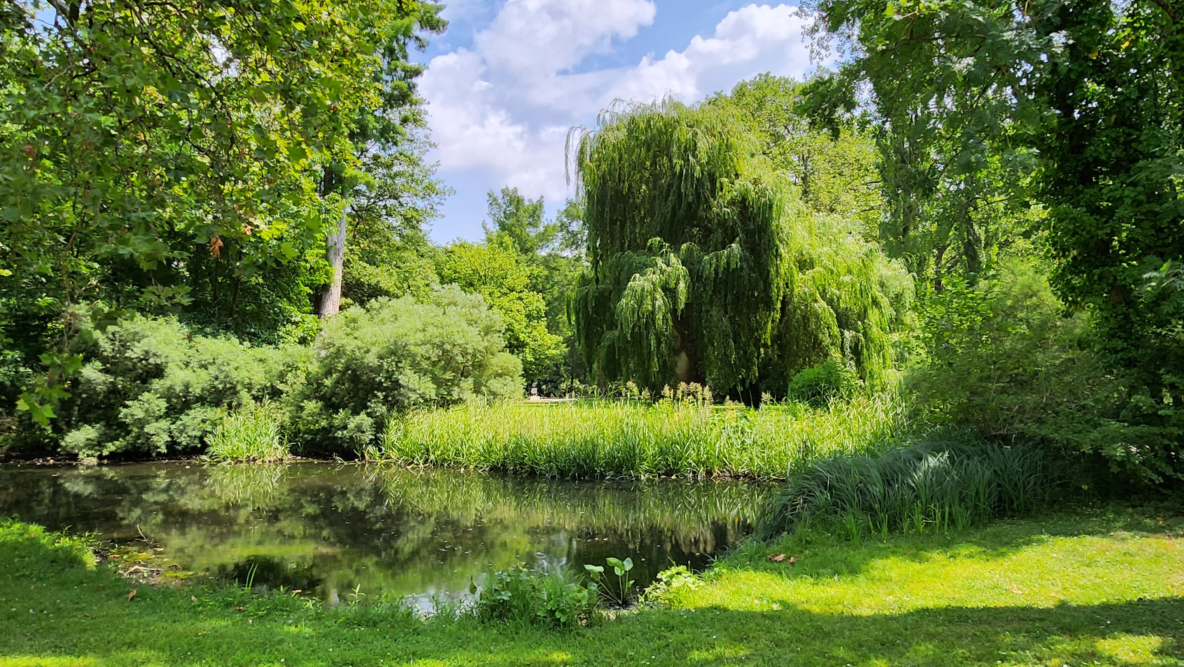 Photo n° 5 de l'avis de Jérôme. fait le 18/06/2023 à 08:24