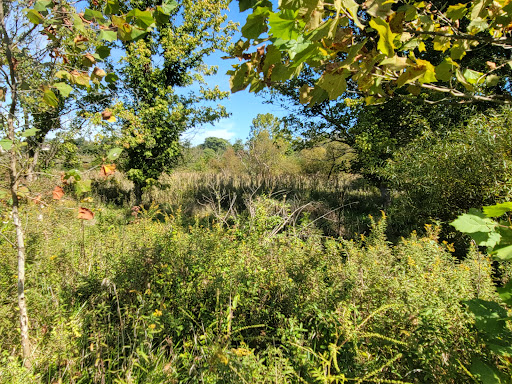 Nature Preserve «Cool Spring Preserve», reviews and photos, 1469 Lloyd Rd, Charles Town, WV 25414, USA