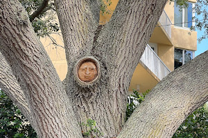 Tree Spirits Saint Simons Island