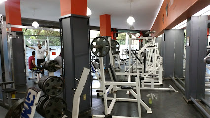 GYM STARFITNESS