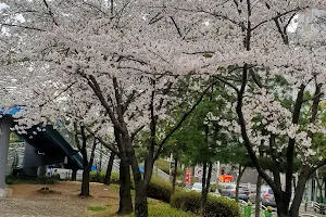 Bidulki Park (Pigeon Park) image