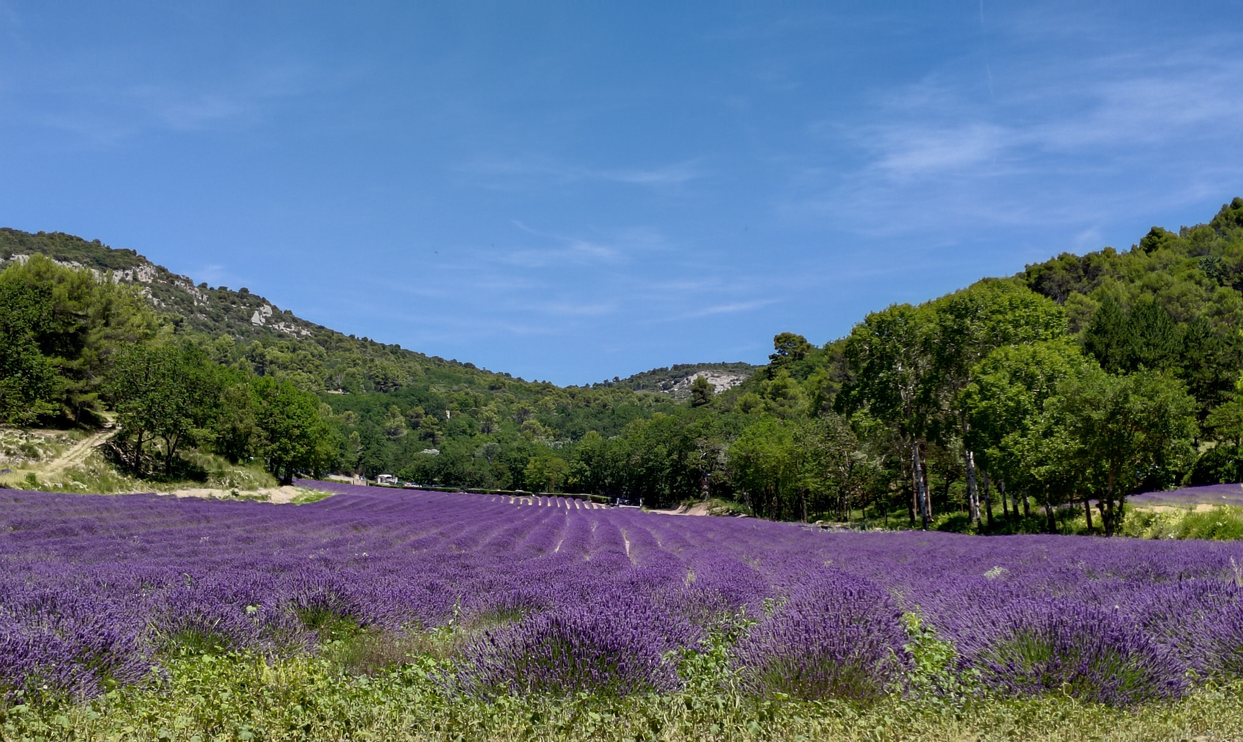 Photo n° 1 de l'avis de Stéphane.y fait le 24/07/2023 à 19:29