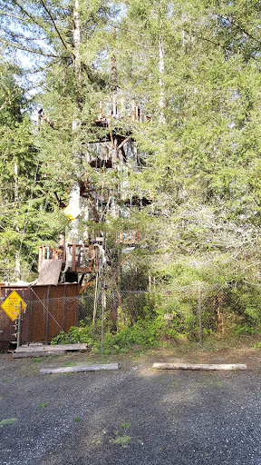 Tourist Attraction «ZiplineX Zip Line Tours», reviews and photos, 32016 NE Healy Rd, Amboy, WA 98601, USA