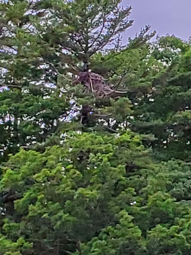 Tour Agency «Portland Discovery Land and Sea Tours», reviews and photos, 170 Commercial St, Portland, ME 04101, USA