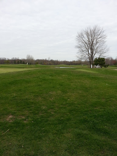 Golf Course «Whitmore Lake Golf Links», reviews and photos, 1111 W 6 Mile Rd, Whitmore Lake, MI 48189, USA