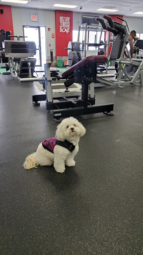 Gym «Encompass Fitness», reviews and photos, 420 Maple St, Marlborough, MA 01752, USA