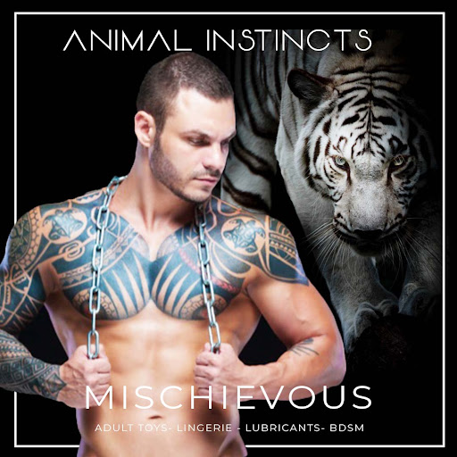 Adult Entertainment Store «Mischievous», reviews and photos, 559 300 W, Salt Lake City, UT 84101, USA