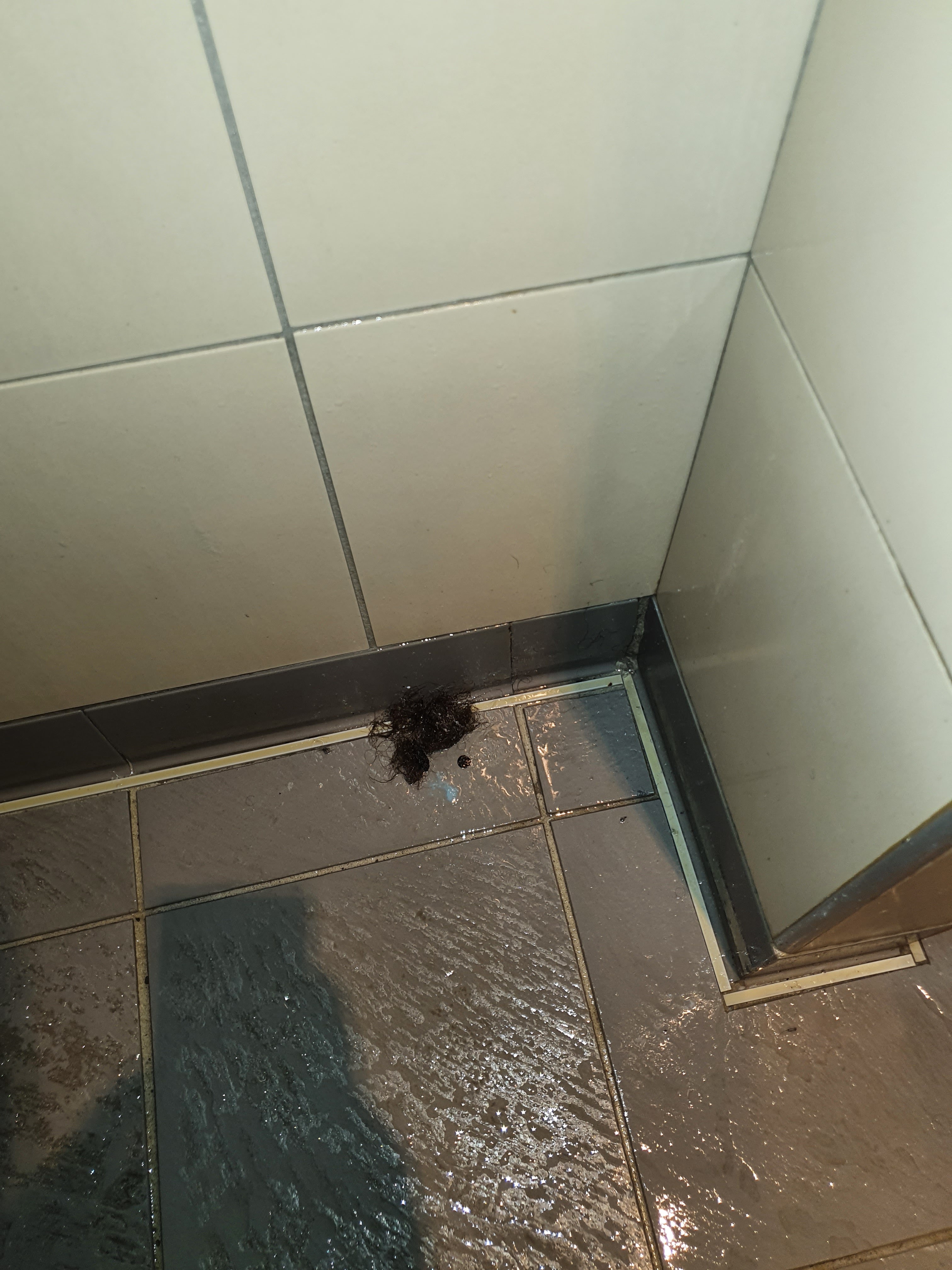 Photo n° 1 de l'avis de Thierry.a fait le 06/03/2021 à 16:42