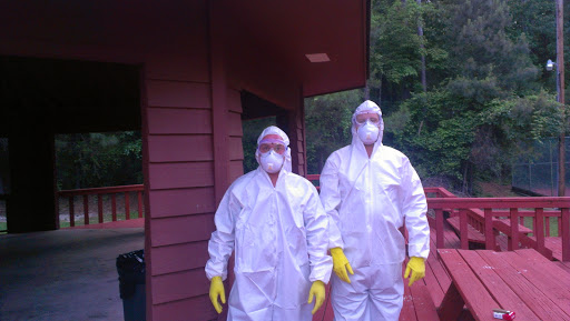 Pest Control Service «Attic Kings», reviews and photos