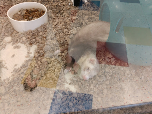 Pet Supply Store «Petco Animal Supplies», reviews and photos, 1090 Fort Union Blvd, Midvale, UT 84047, USA