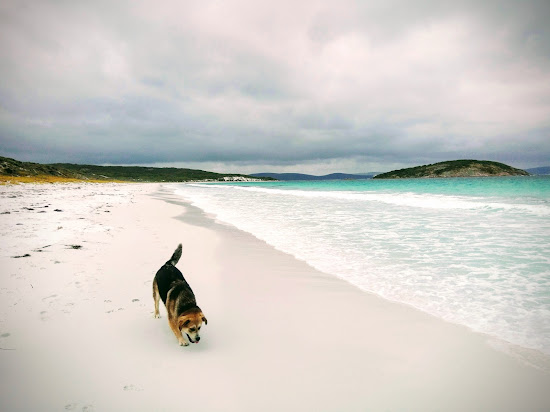 Goode Beach North