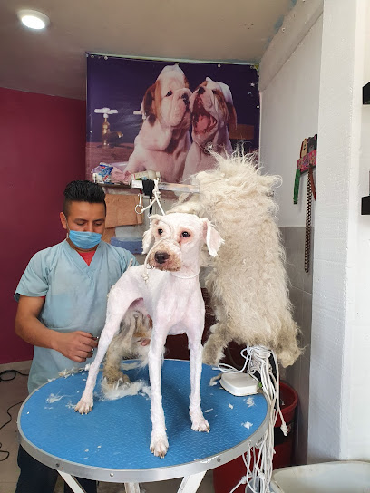 Veterinaria y estetica canina 'ROCINANTE VET'