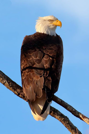 Battle Site «Fort Donelson National Battlefield», reviews and photos, 120 Lock D Rd, Dover, TN 37058, USA