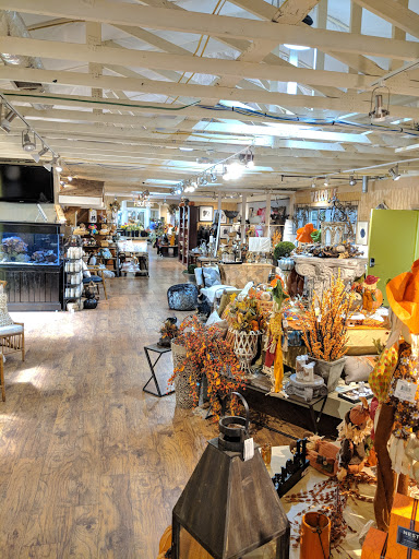 Plant Nursery «Potomac Petals and Plants», reviews and photos, 9545 River Rd, Rockville, MD 20854, USA