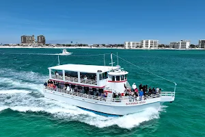 Southern Star Dolphin Cruise image