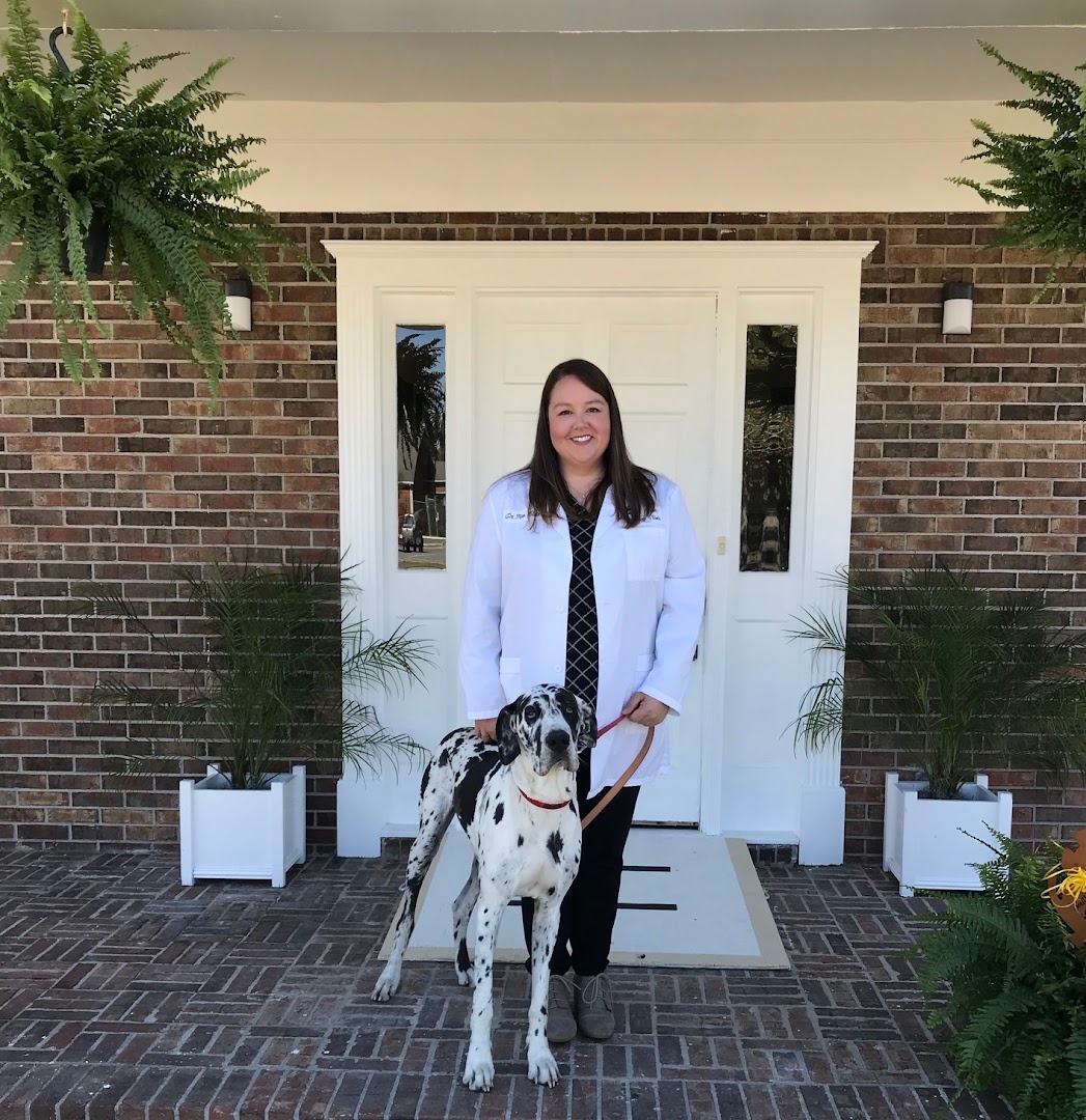 Southern Paws Veterinary Clinic