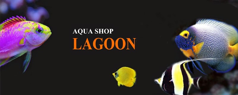 AQUA SHOP LAGOON