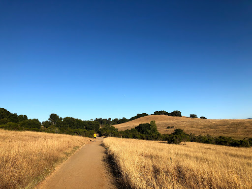 Park «Edgewood Park & Natural Preserve», reviews and photos, 10 Old Stage Coach Rd, Redwood City, CA 94062, USA