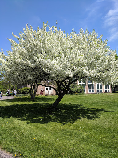 Non-Profit Organization «Buffalo Niagara Heritage Village», reviews and photos, 3755 Tonawanda Creek Rd, Amherst, NY 14228, USA