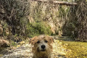 Clínica Veterinaria Nerja image